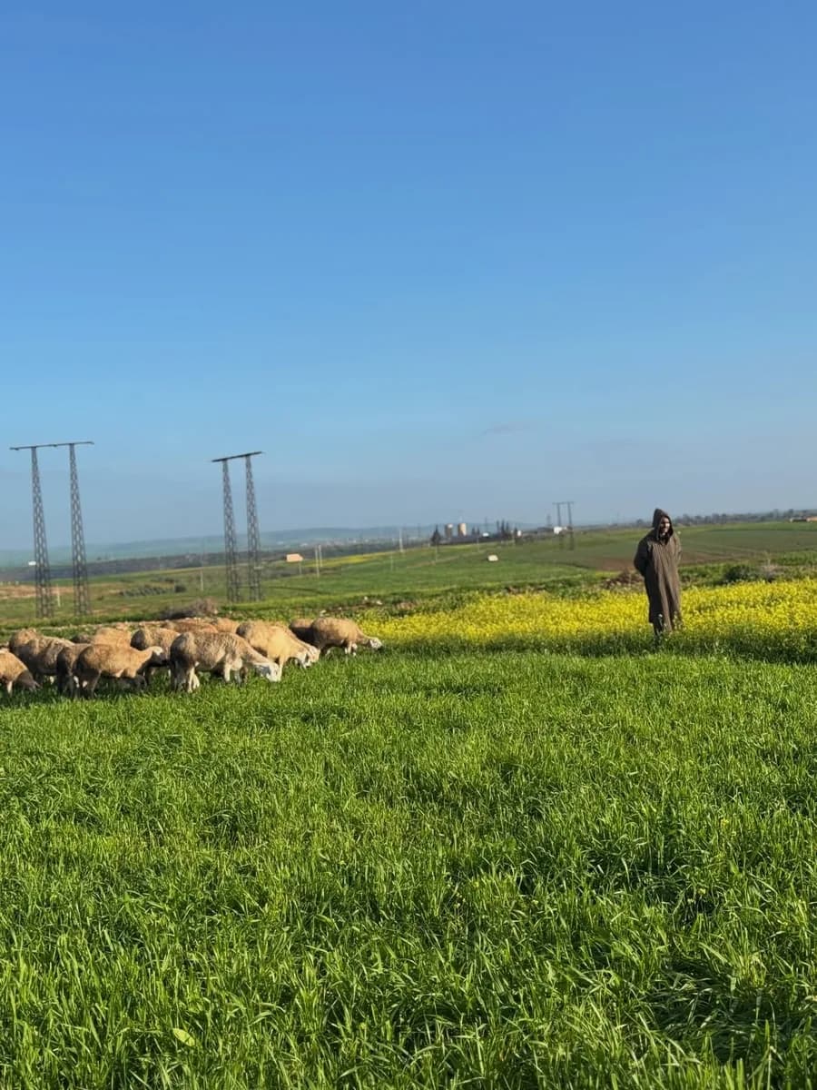 ضيعة حمزة الدكالي photo 2
