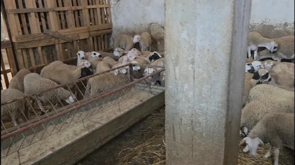 Ferme Ouled Frej photo 1