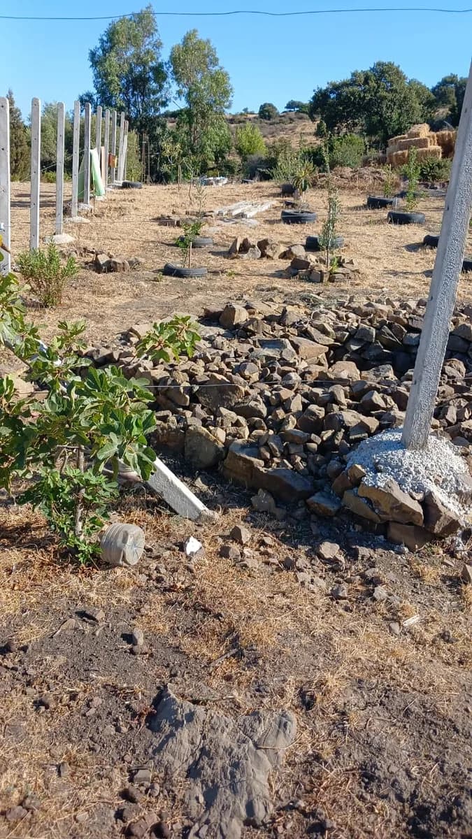 RIMALAK FARM photo 4