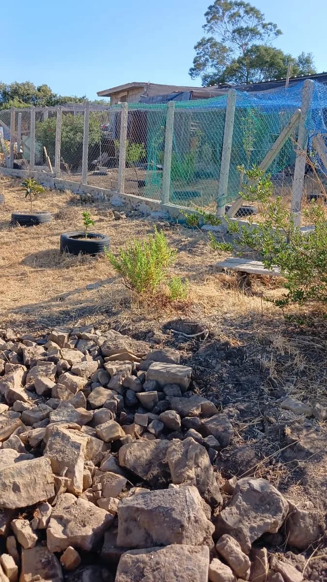 RIMALAK FARM photo 1