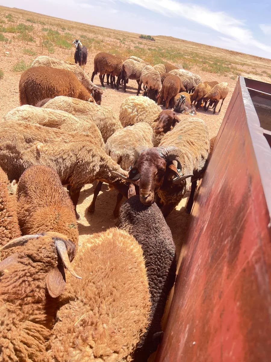 ضيعة الدحماني photo 1