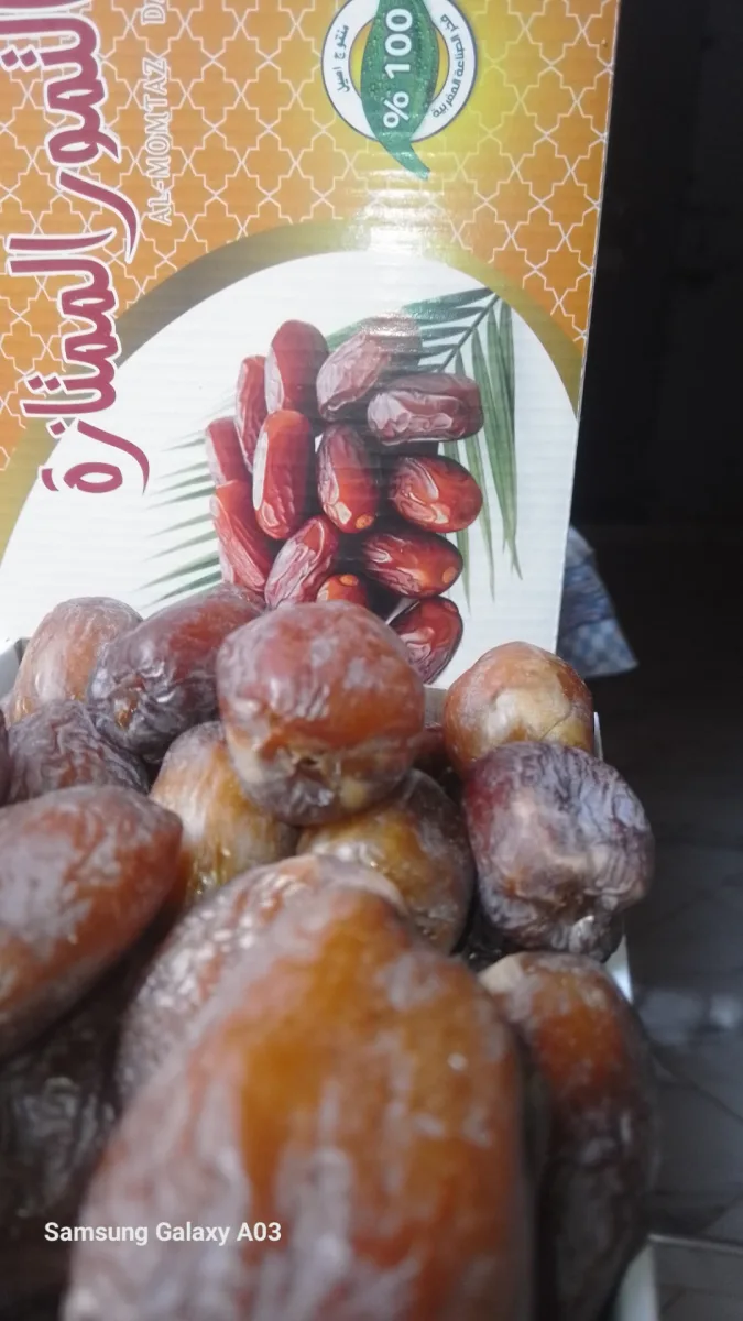 ضيعة تافيلالت photo 4