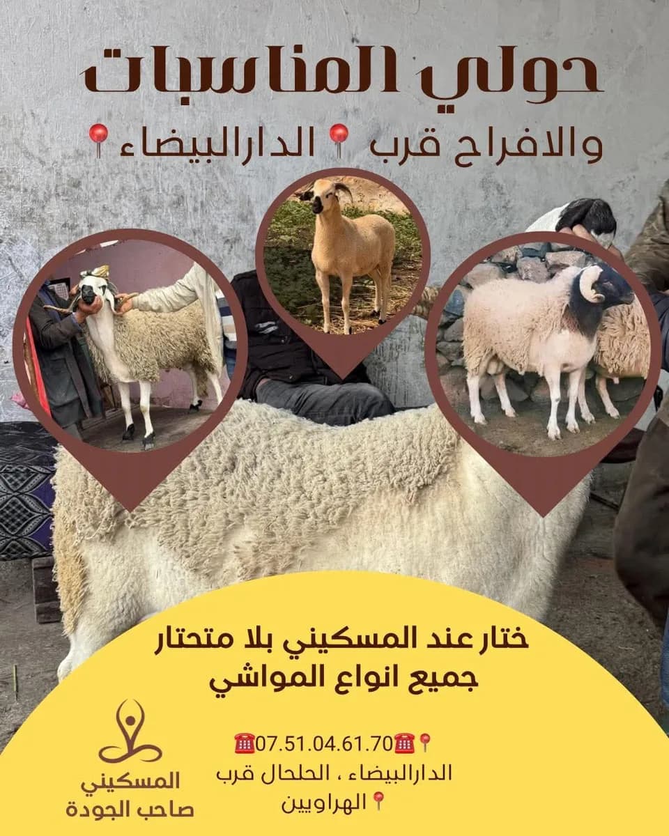 ضيعة نوردين المسكيني photo 2