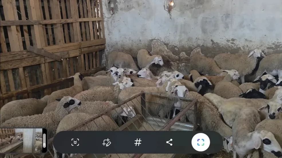 Ferme Ouled Frej photo 2