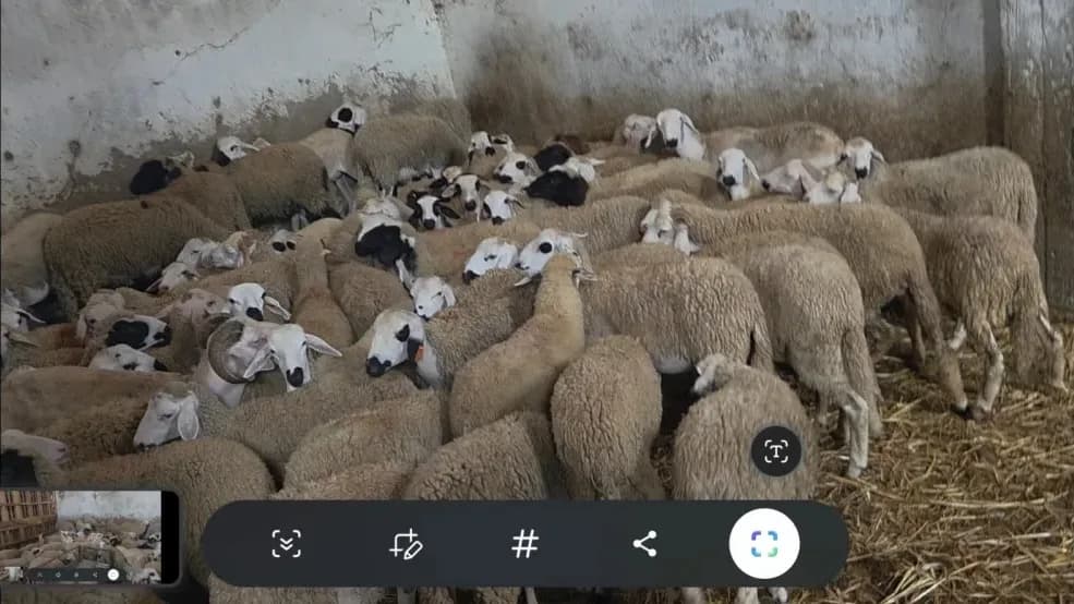 Ferme Ouled Frej photo 3