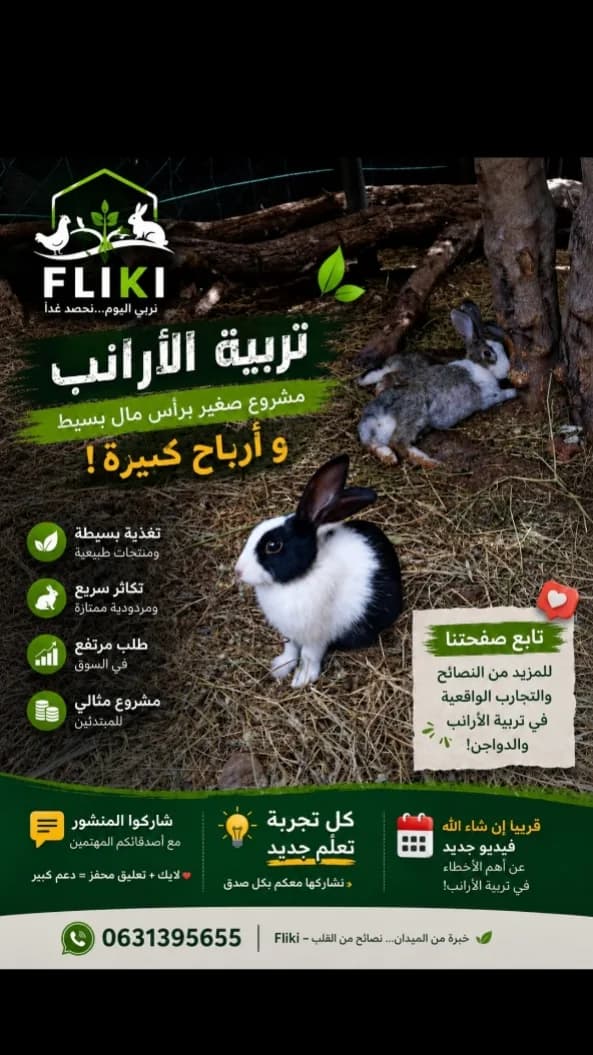 دواجن مكناس photo 2
